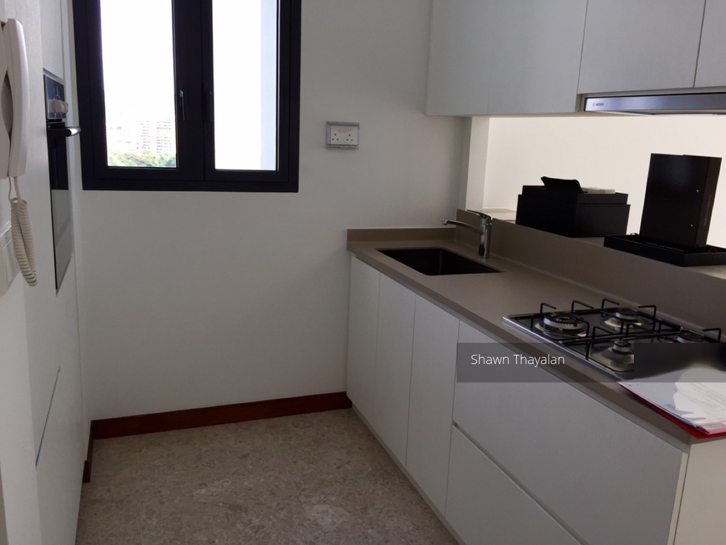 18 Woodsville (D13), Apartment #117516242